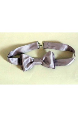 Noeud papillon en soie parme homme