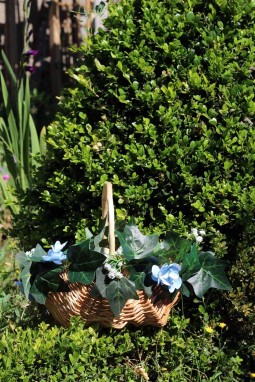 panier décoré de fleurs et lierre