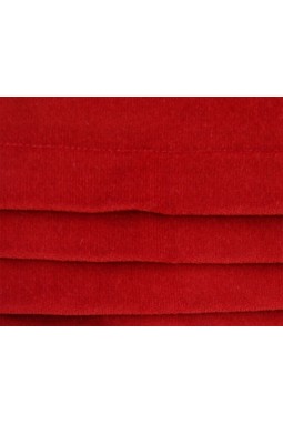 Cortège velours rouge mariage d'hiver